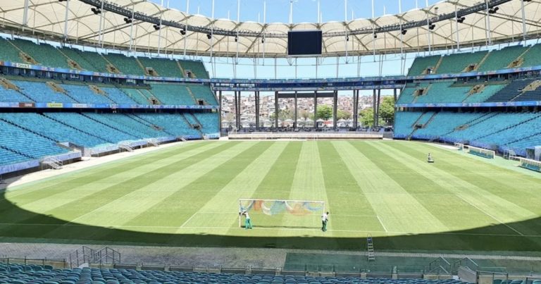 bahia-e-botafogo-na-fonte-nova:-partida-tera-acoes-contra-o-trabalho-infantil-neste-sabado