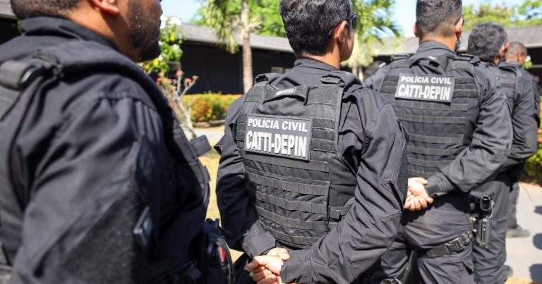 Operação da Polícia civil recupera sete animais furtados no interior da Bahia; saiba mais operacao-da-policia-civil-recupera-sete-animais-furtados-no-interior-da-bahia;-saiba-mais