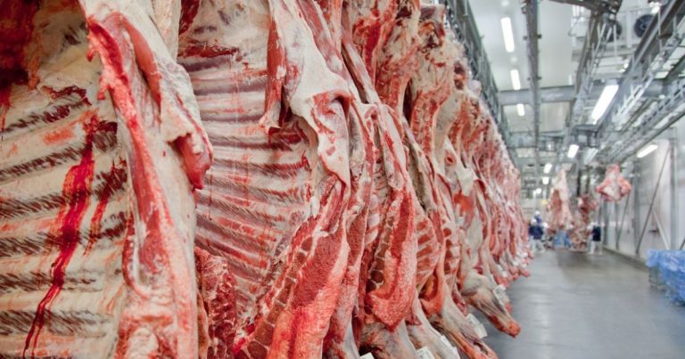 União Europeia formaliza veto a compra de carne brasileira; medida passa a valer em setembro uniao-europeia-formaliza-veto-a-compra-de-carne-brasileira;-medida-passa-a-valer-em-setembro