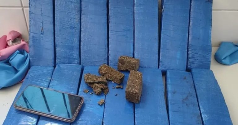 Polícia apreende 14kg de maconha em ônibus de viagem na BR-030 policia-apreende-14kg-de-maconha-em-onibus-de-viagem-na-br-030
