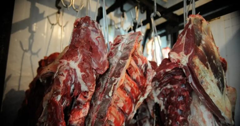 governo-brasileiro-intensifica-negociacao-com-uniao-europeia-para-retirar-veto-sobre-carne-brasileira