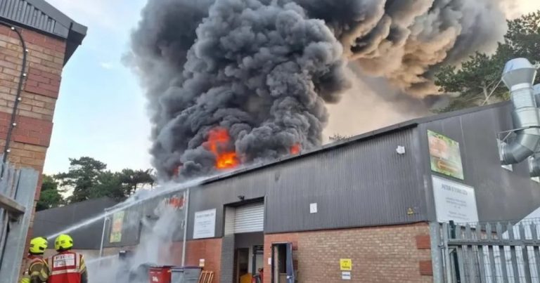 todos-os-animais-de-zoologico-infantil-morrem-em-incendio-na-inglaterra;-causa-e-investigada