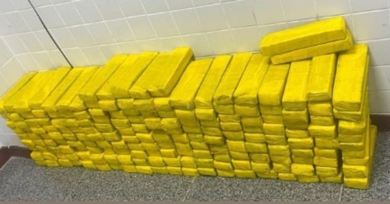 policia-apreende-quase-200-tabletes-de-maconha-escondidos-em-freezer-em-feira-de-santana