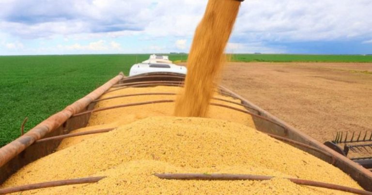 pib-do-agronegocio-baiano-atinge-r$-19,2-bilhoes-no-primeiro-trimestre-de-2026