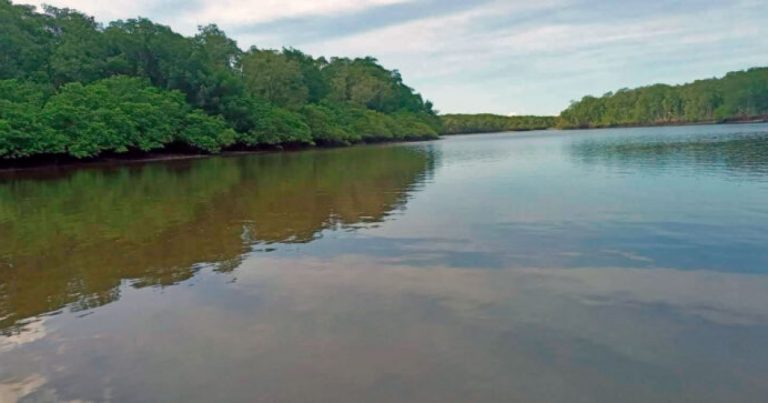 governo-federal-autoriza-desapropriacao-de-area-quilombola-de-606-hectares-em-taperoa