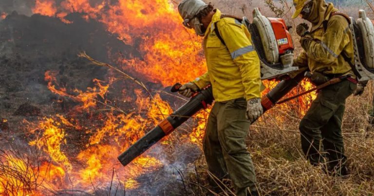 medida-provisoria-destina-r$-337-milhoes-para-combate-a-incendios-e-desmatamento