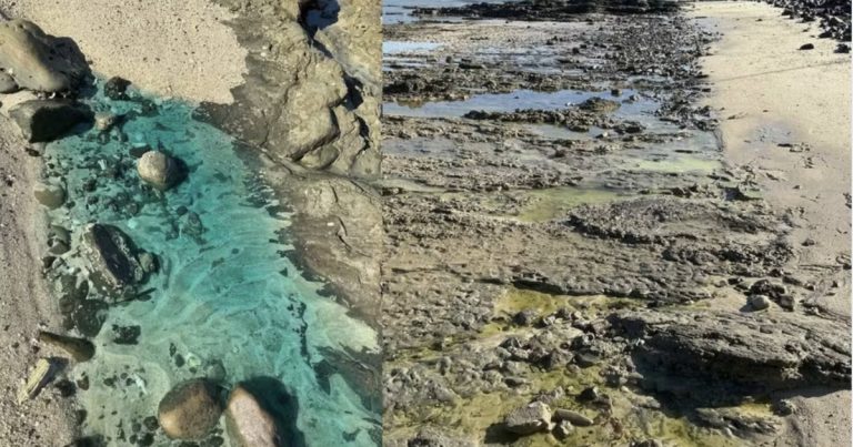 inema-aplica-r$-70-milhoes-em-multas-por-contaminacao-ambiental-na-praia-de-sao-tome-de-paripe,-em-salvador